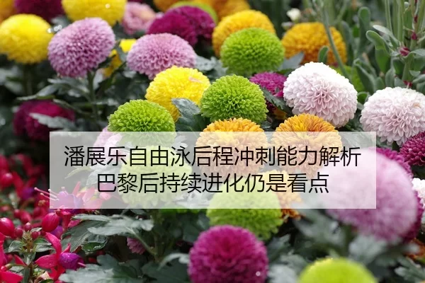 潘展乐自由泳后程冲刺能力解析 巴黎后持续进化仍是看点