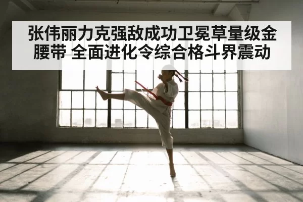 Zhang Weili UFC fight